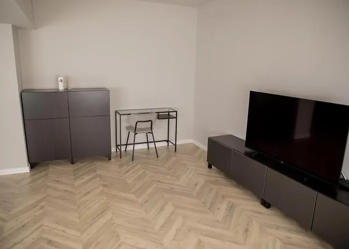 Sabrini Residence B3 Timisoara Old Town